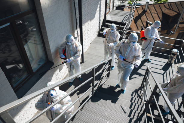Best Black Mold Removal  in Lamar, CO